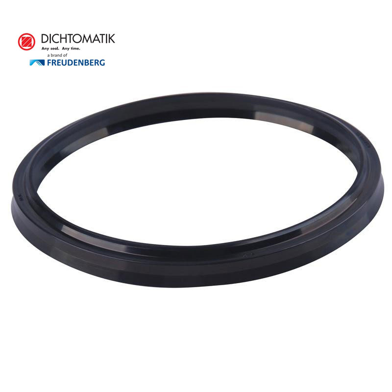 Dichtomatik密封 活塞杆密封(DS)